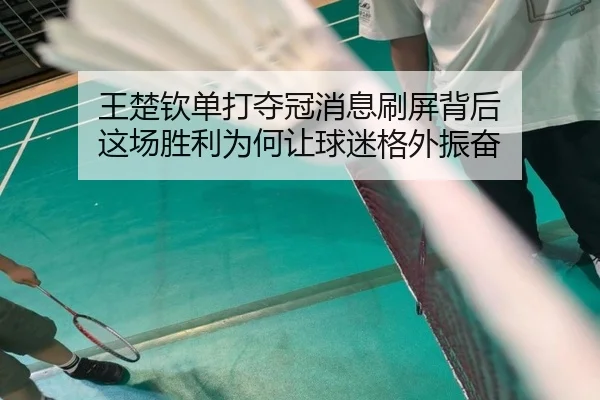 王楚钦单打夺冠消息刷屏背后 这场胜利为何让球迷格外振奋